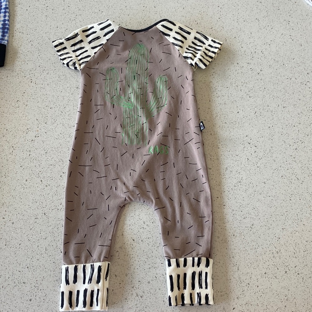 Cactus RAG